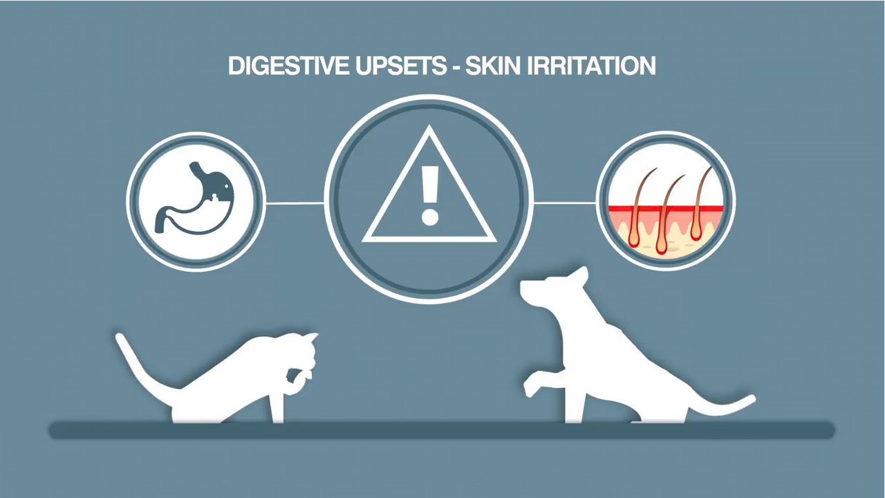 LOW ALLERGEN FORMULATION